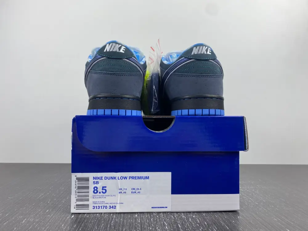 Nike Dunk SB Low Blue 