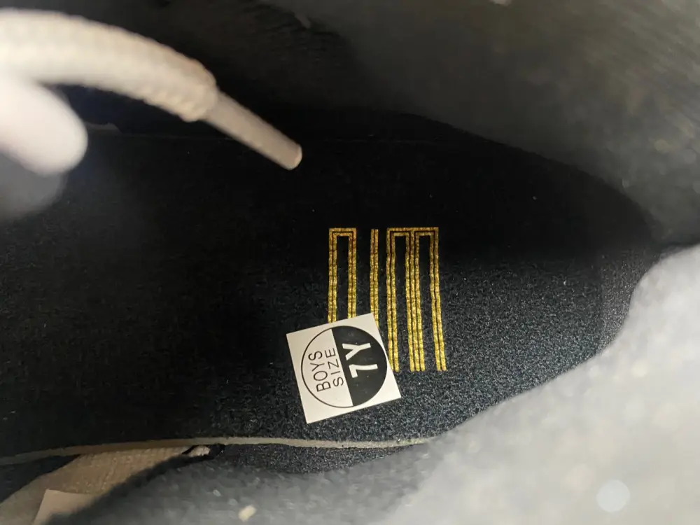 AIR JORDAN 11 AIR JORDAN 11 DMP 