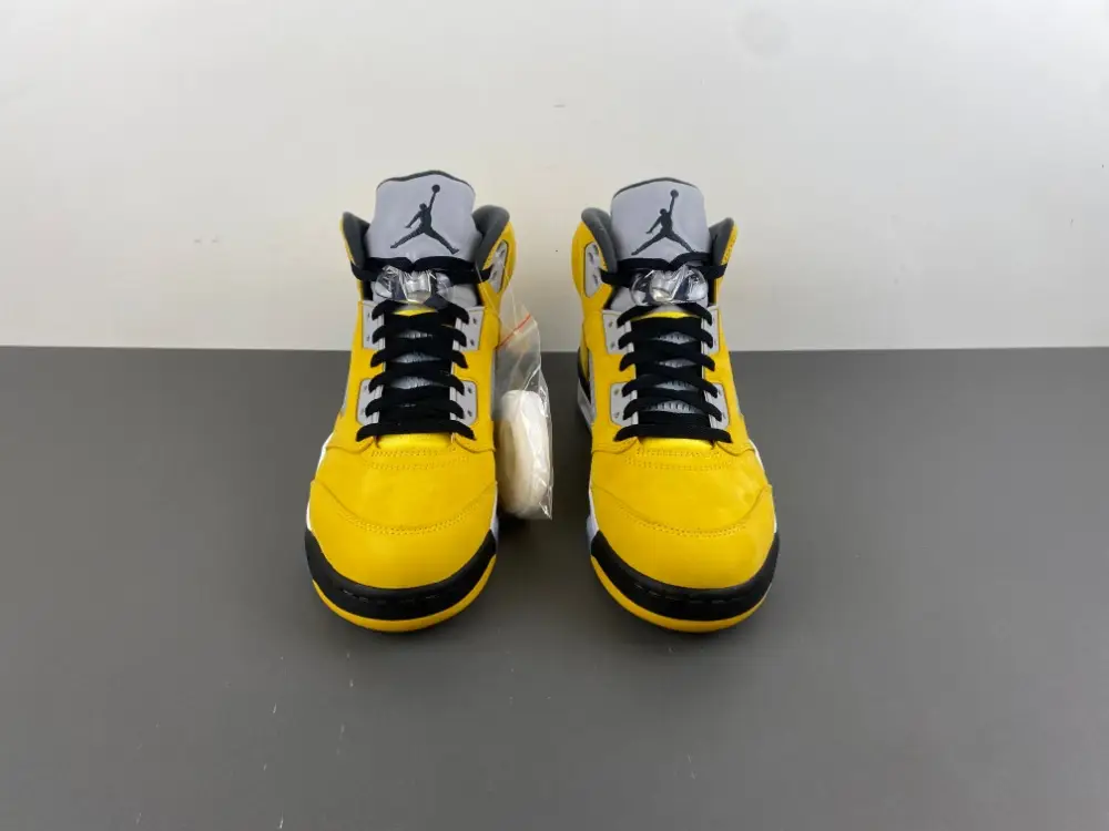 Air Jordan 5 
