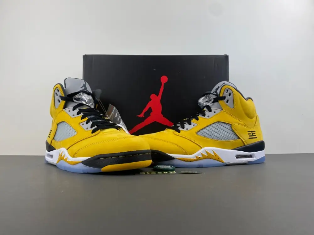 Air Jordan 5 