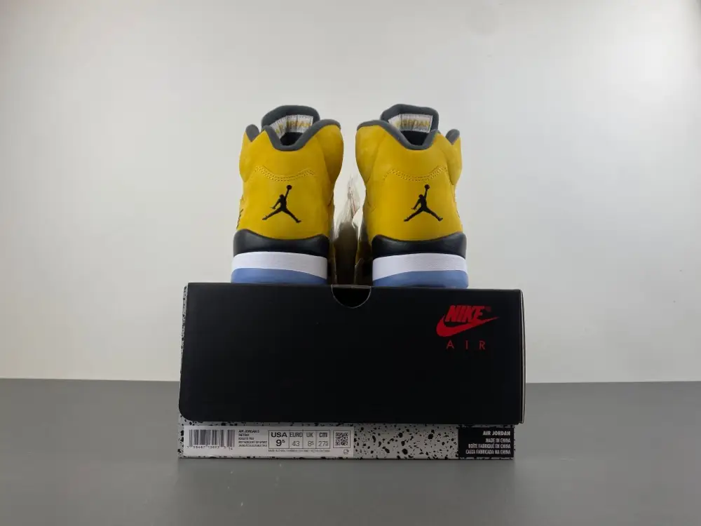 Air Jordan 5 