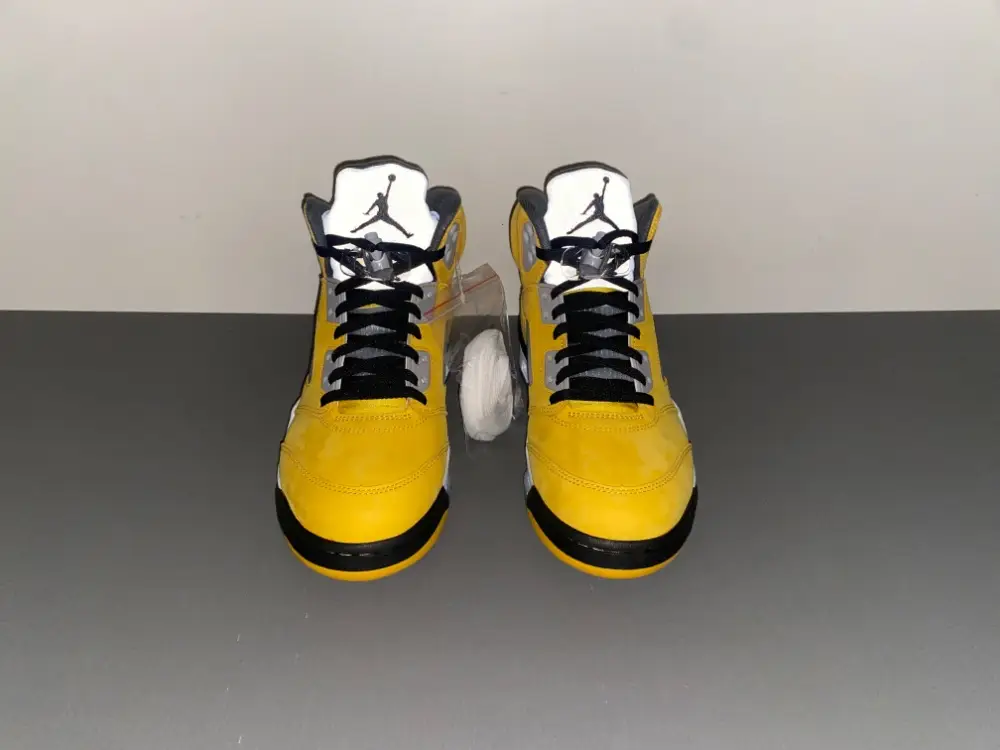 Air Jordan 5 