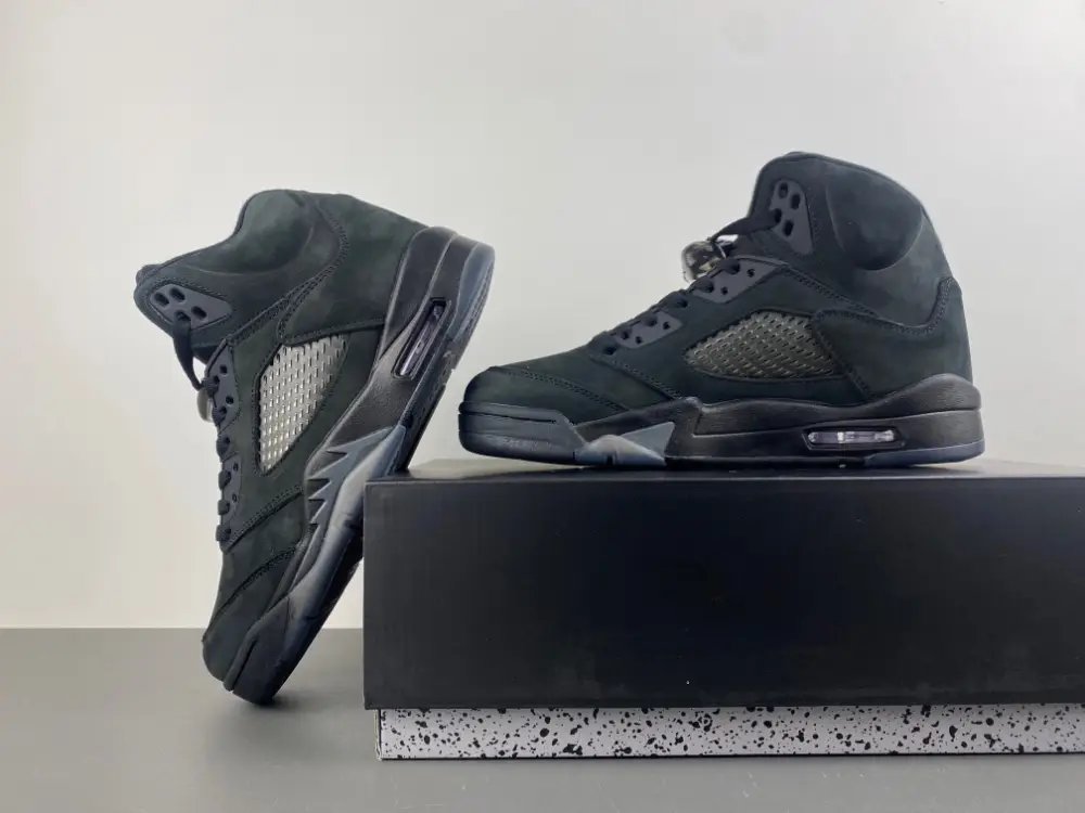 Jordan Air Jordan 5 “Black 