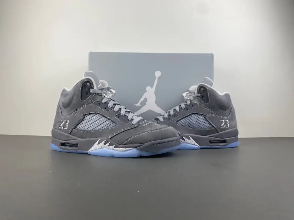 Air Jordan 5 “Wolf 