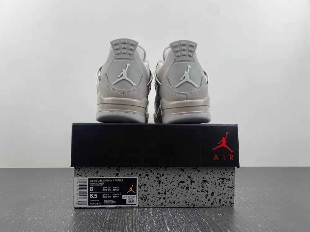 Jordan 4 Retro Frozen 