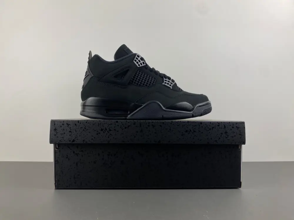 Air Jordan 4 “Black Cat” 