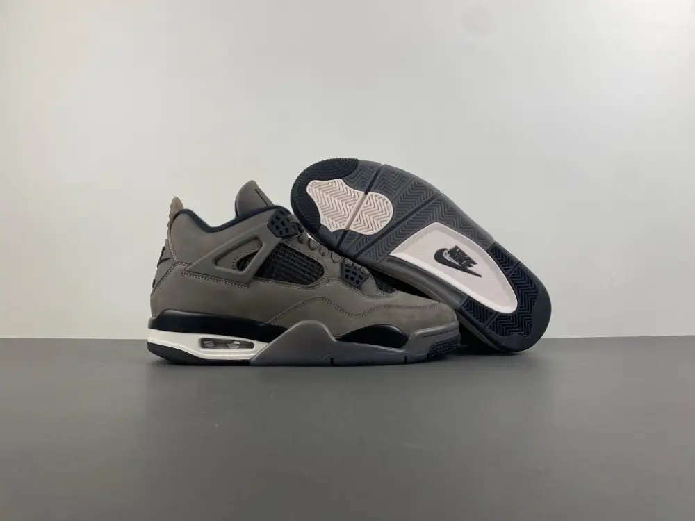 Air Jordan 4 Cave Ston 