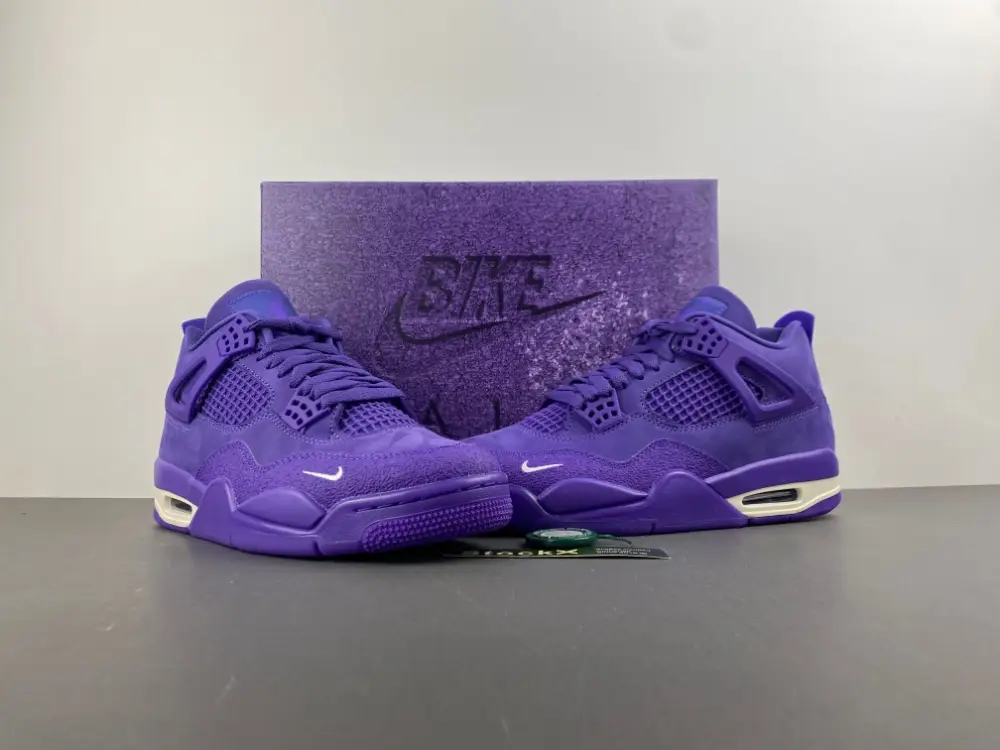 Nigel Sylvester x Air Jordan 4 RETRO OG SP  DFF237