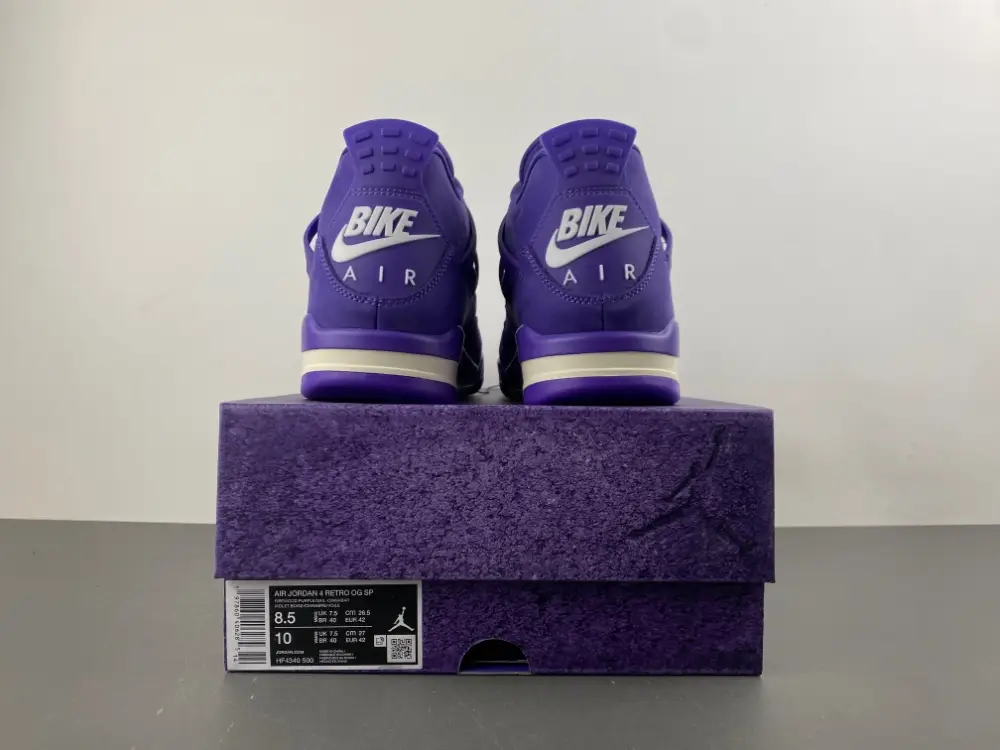 Nigel Sylvester x Air Jordan 4 RETRO OG SP 